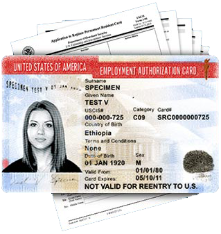 Employment Authorization Card Renewal (EAD) Employment Authorization Card Renewal (EAD)